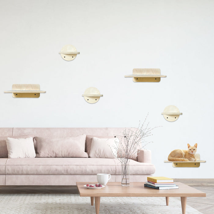 KAT- Cat Wall Climber