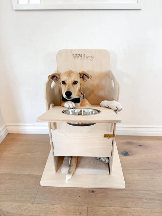 BAILEY- Dog High Chair for Megaesophagus