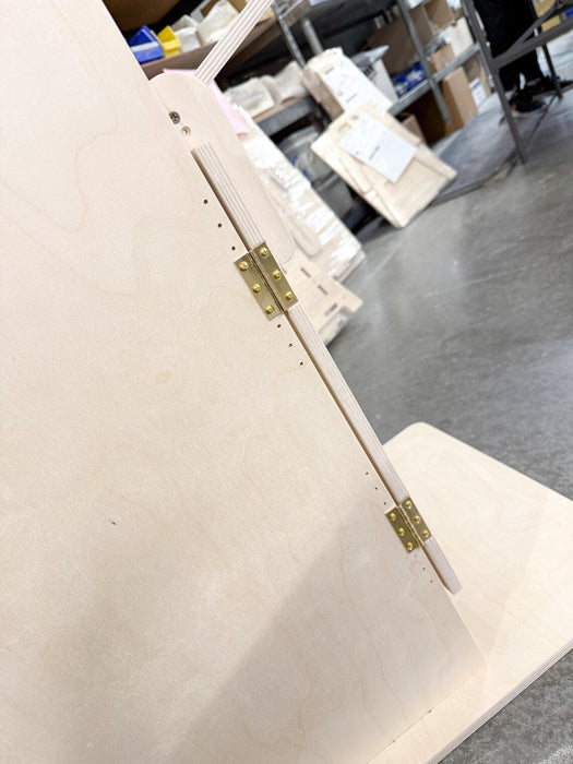 BAILEY- Dog High Chair for Megaesophagus