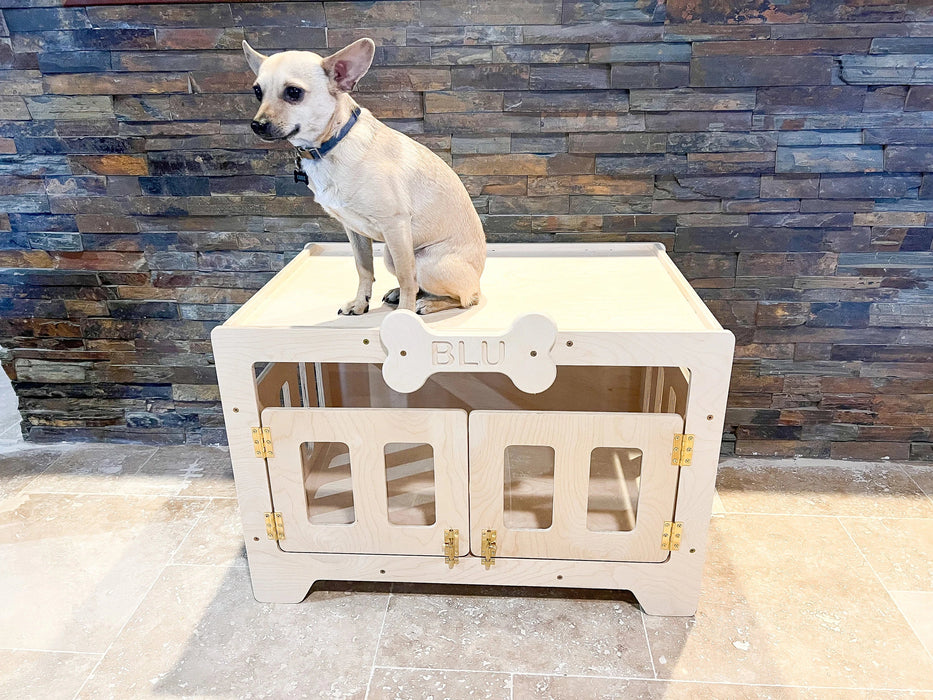 BLU- Modern Dog House